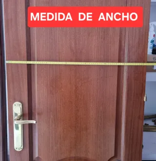 Puerta de madera interior con molduras