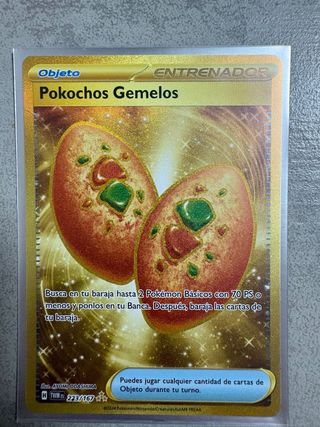 Pokemon Pokochos Gemelos Carta Entrenador
