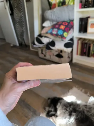 Manöver um Feuerland Roman