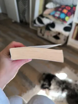 Das Haus am Potomac Roman