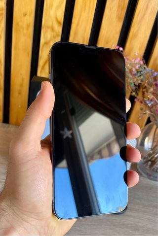 iPhone 13 Pro Max 1TB Blu come nuovo