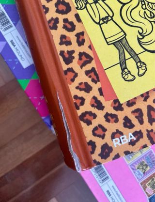 libros Diario de Nikki