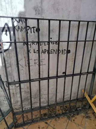 Rejas de hierro para ventana