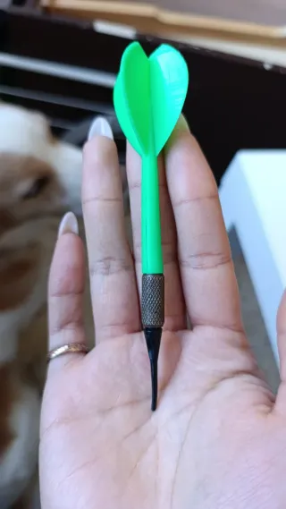 Diana de dardos Target