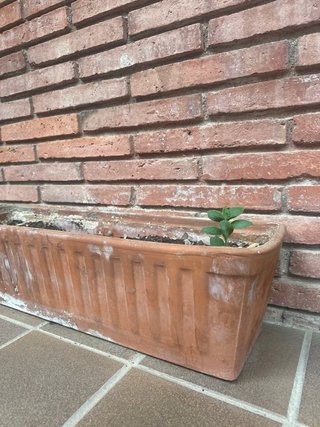 Jardinera Terracota Rectangular