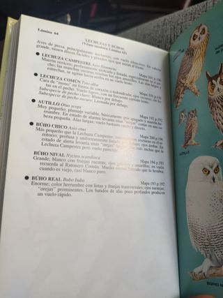 GUIA DE CAMPO AVES DE ESPAÑA Y EUROPA (GUIAS DEL NATURALISTA-AVES) (Spanish Edition)