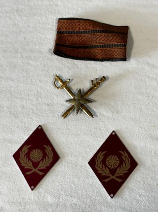 Distintivo Mando (Teniente Coronel) y Galón Tela