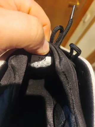 Adidas Yeezy 700 V3 "Azael"