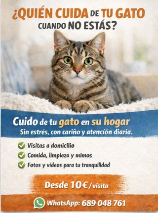 Cuidador de gatos en Madrid