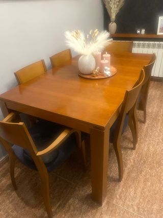 Mesa de comedor madera y 6 sillas tapizadas