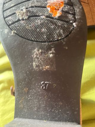 Botines Beige/Marrón con Hebilla