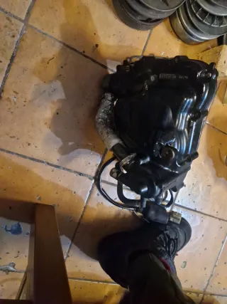 Coperchio Statore Yamaha Majesty 400