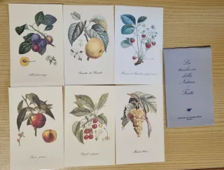 Set cartoline uccelli e frutti