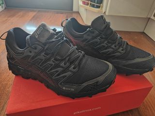 Zapatillas Asics FujiTrabuco Gore-Tex Talla 44
