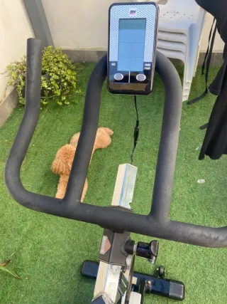 Bicicleta Indoor BH Khronos