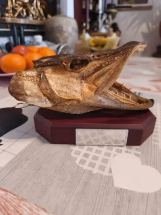 Cabeza de pez seca decorativa