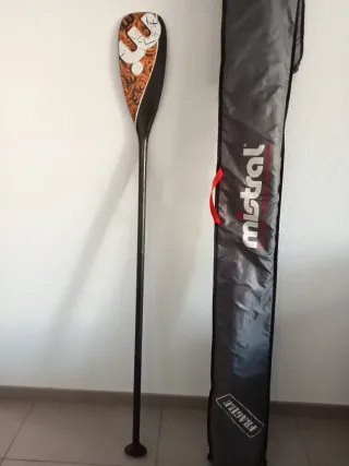 Remo Mistral Carbono