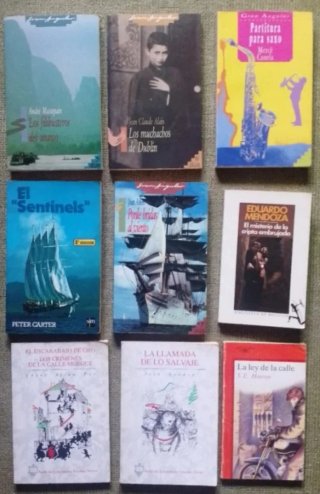 Pack 23 libros: 14 inglés + 9 literatura juvenil