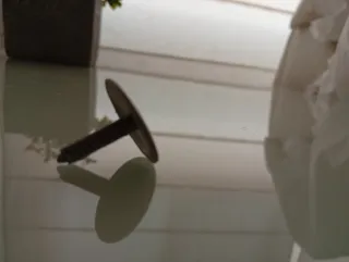 Grapas para techo de coche Bolsa de 80 unidades