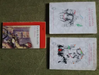 Pack 11 libro literatura juvenil