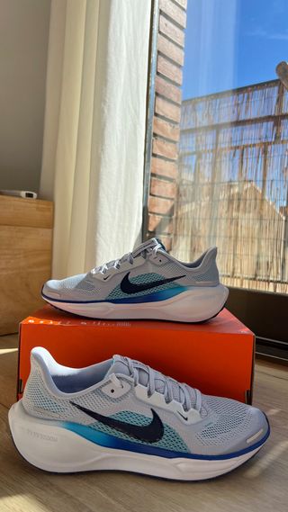 Zapatillas Nike Pegasus running