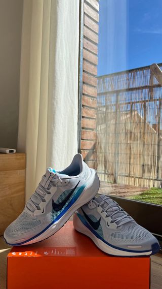 Zapatillas Nike Pegasus running