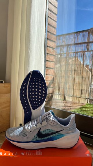 Zapatillas Nike Pegasus running