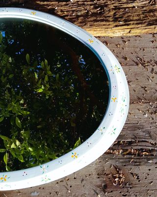 Espejo pintado a mano