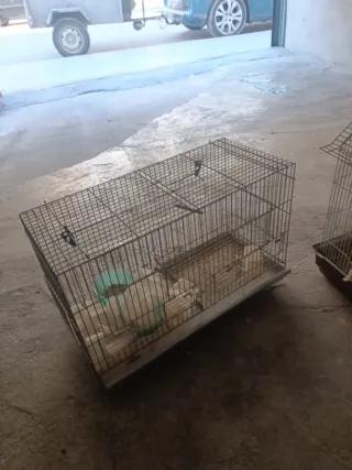 Pack 4 jaulas para pájaros