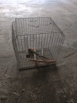 Pack 4 jaulas para pájaros