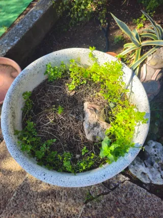 4 Vasi in pietra beige/grigio