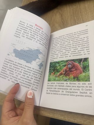 guia de viaje de Malasia