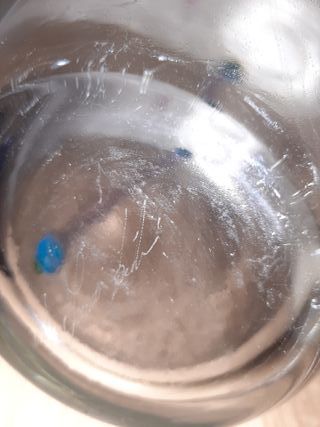 Set Vaso Vetro Murano Viola Trasparente