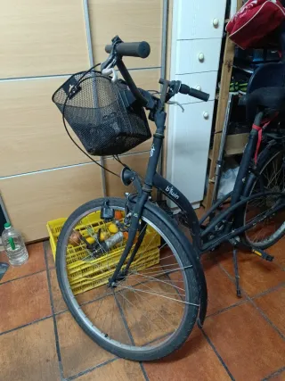 Bicicleta de paseo