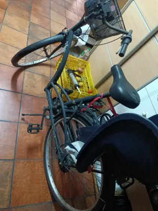 Bicicleta de paseo