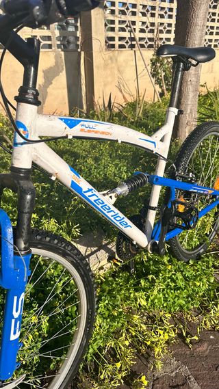 Bicicleta de montaña Freerider FS