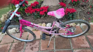 Bicicleta Wendy rosa niña