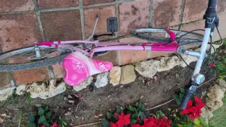 Bicicleta Wendy rosa niña