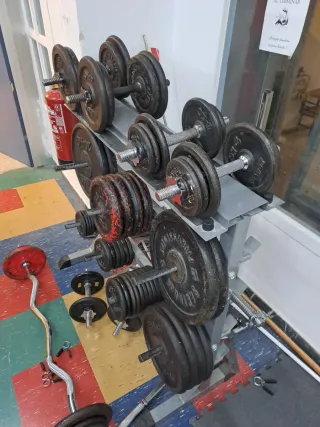 Discos de pesas para gimnasio