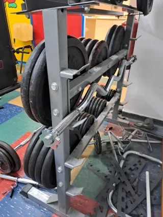 Discos de pesas para gimnasio