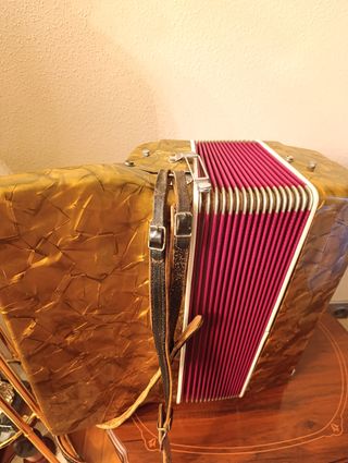 Acordeón Fontanella Dorado 120 botones bajos 41 te