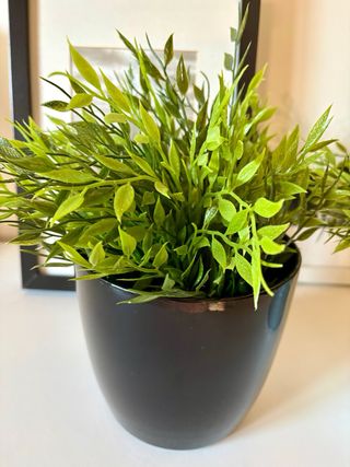 Plantas decorativas IKEA