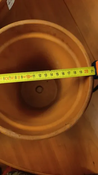 Set di 3 Vasi in Terracotta