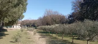 Serveis de jardineria MontGreen*