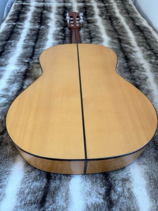 Guitarra Española Paco Castillo Nueva