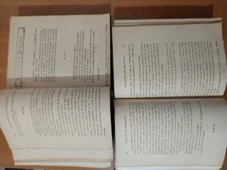 Genoveva de Bramonte - Tomo I y II (antiguos)