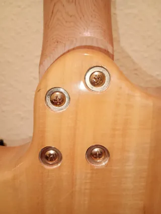 Guitarra Electrica