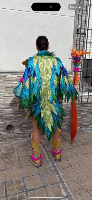 Traje comparsa carnaval badajoz tribu dios pajaro