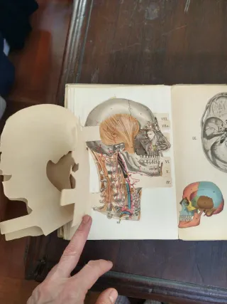 Antiguo Atlas Anatómico Gustavo Gili Troquelado