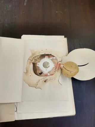 Antiguo Atlas Anatómico Gustavo Gili Troquelado